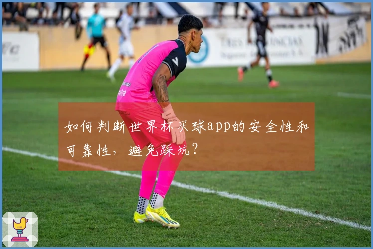 如何判断世界杯买球app的安全性和可靠性，避免踩坑？