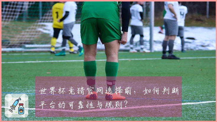 世界杯竞猜官网选择前，如何判断平台的可靠性与规则？