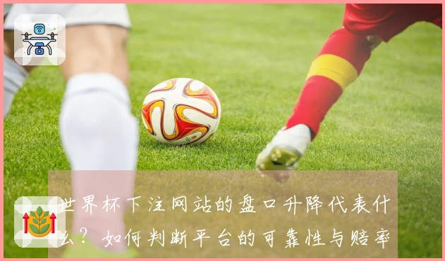 世界杯下注网站的盘口升降代表什么？如何判断平台的可靠性与赔率变化？