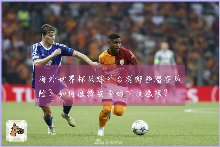 海外世界杯买球平台有哪些潜在风险?如何选择安全的下注选项?