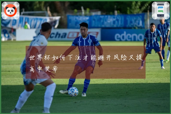 世界杯如何下注才能避开风险又提高中奖率