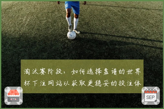 淘汰赛阶段，如何选择靠谱的世界杯下注网站以获取更稳妥的投注体验
