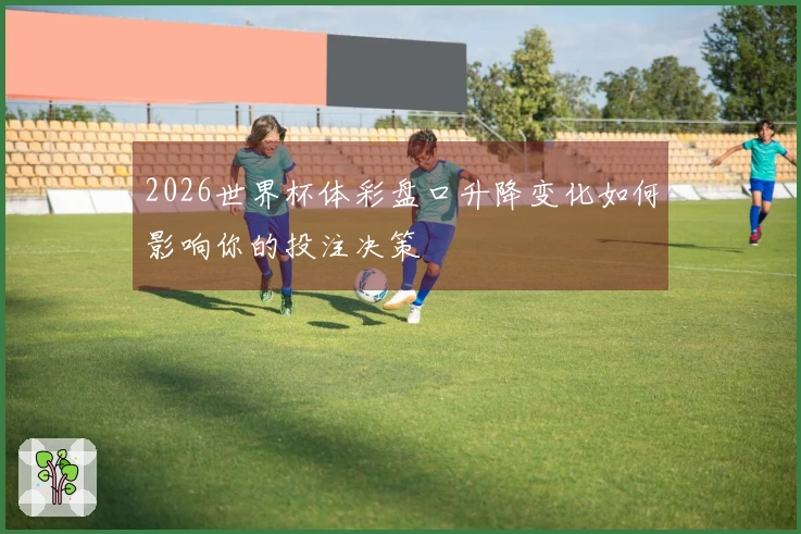 2026世界杯体彩盘口升降变化如何影响你的投注决策