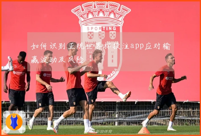 如何识别正规世界杯投注app应对输赢波动及风险