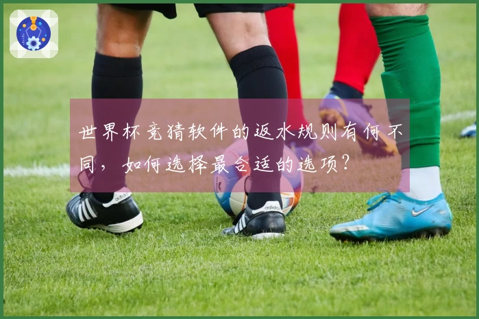 世界杯竞猜软件的返水规则有何不同，如何选择最合适的选项？
