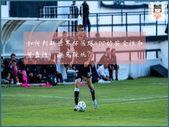 如何判断世界杯买球app的安全性和可靠性，避免踩坑？