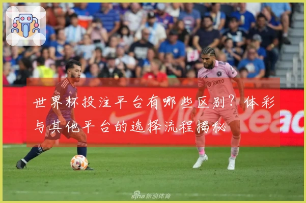 世界杯投注平台有哪些区别？体彩与其他平台的选择流程揭秘