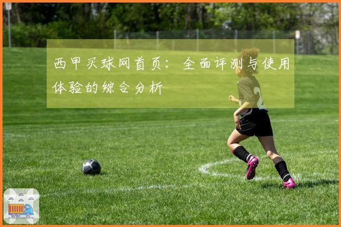 西甲买球网首页：全面评测与使用体验的综合分析