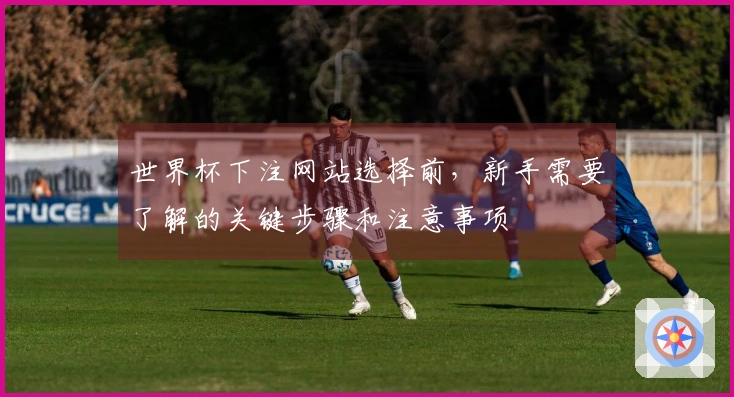 世界杯下注网站选择前，新手需要了解的关键步骤和注意事项