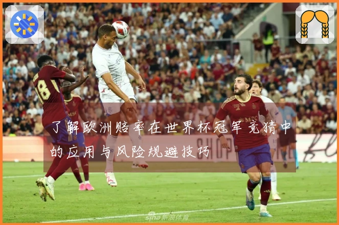 了解欧洲赔率在世界杯冠军竞猜中的应用与风险规避技巧